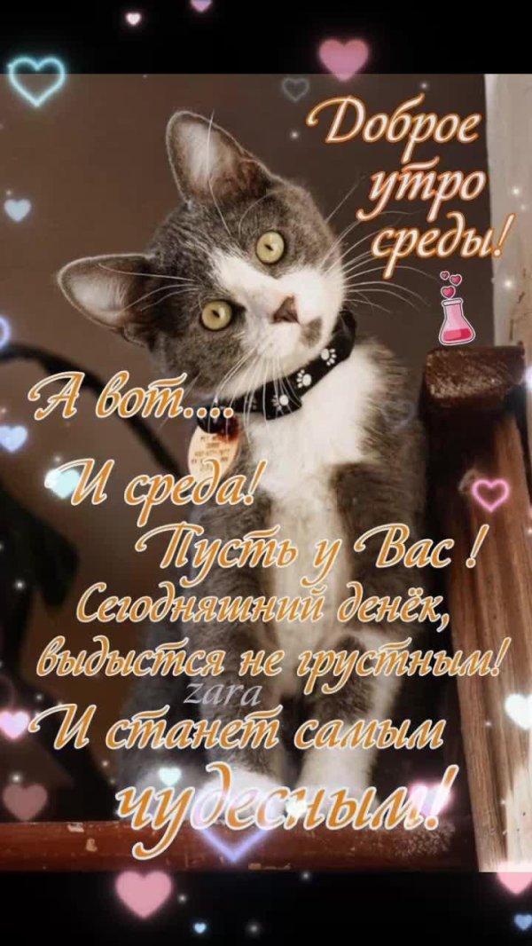 открытка среда