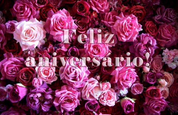 розовые цветы