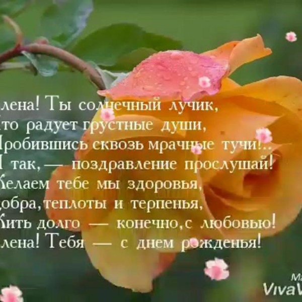 поздравление для елены