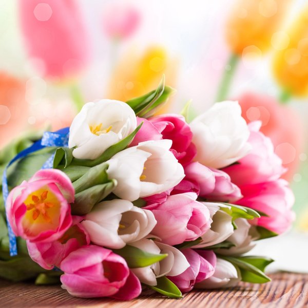 букет тюльпанов открытка