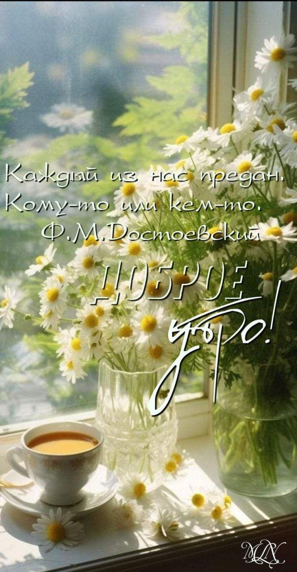 доброго утра лето