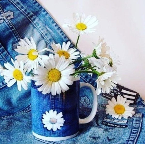 доброе утро понедельника август