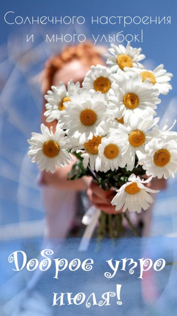 букет ромашек