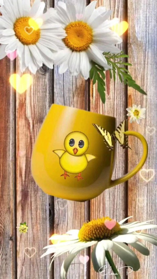 добрый день доброе утро