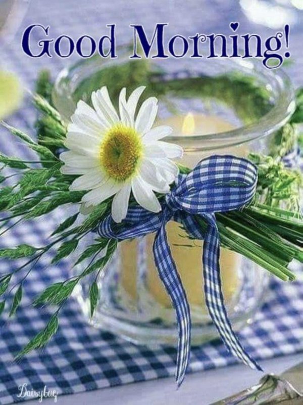 открытка с добрым утром летние