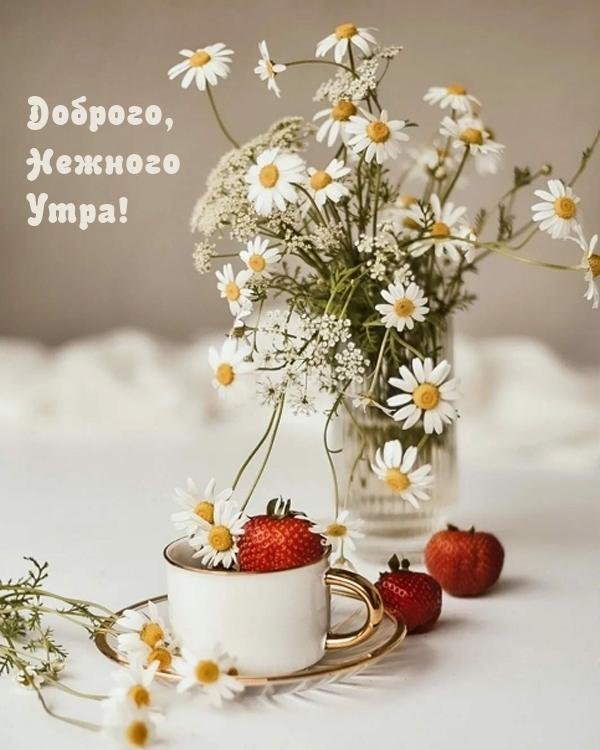 доброго нежного утра