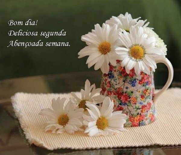 цветы утренние