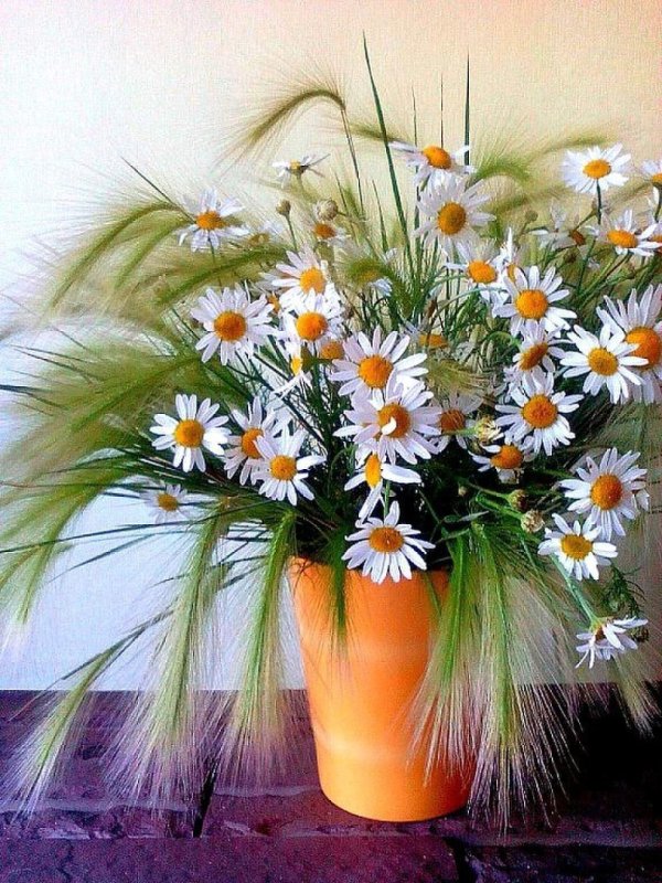 букет ромашек