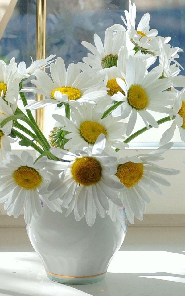 ромашка в вазе