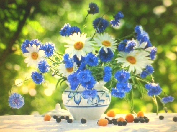 васильковое лето