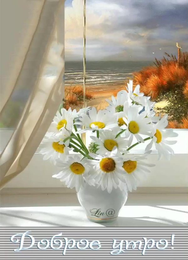 чудесного летнего утра