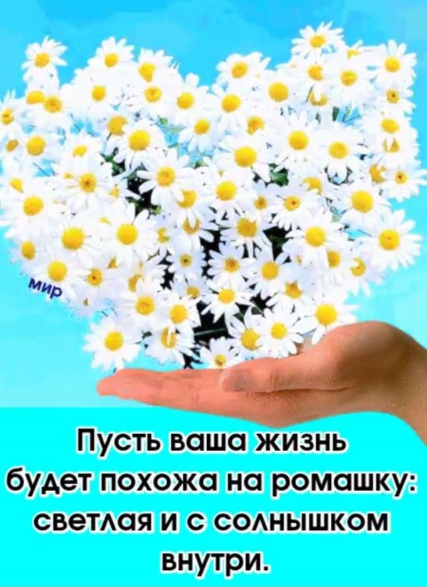 позитивная ромашка