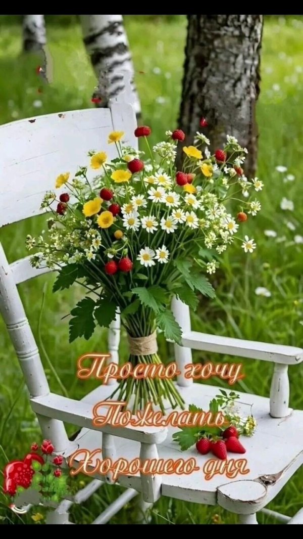 добрейшего летнего утра