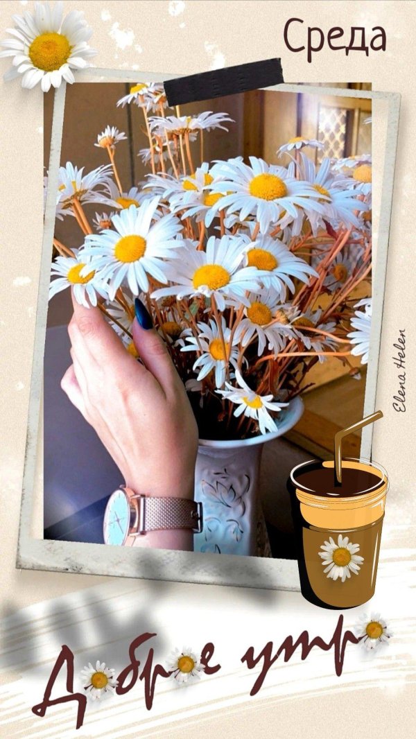 среда доброго утра