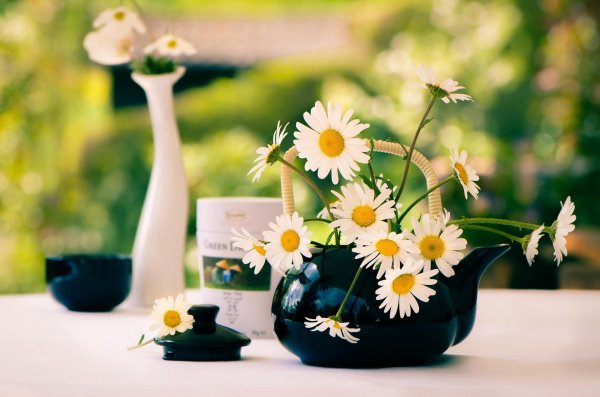 доброго утра ромашки