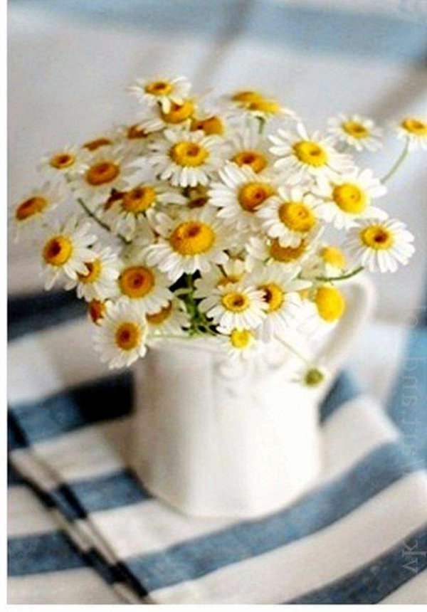 букет ромашек