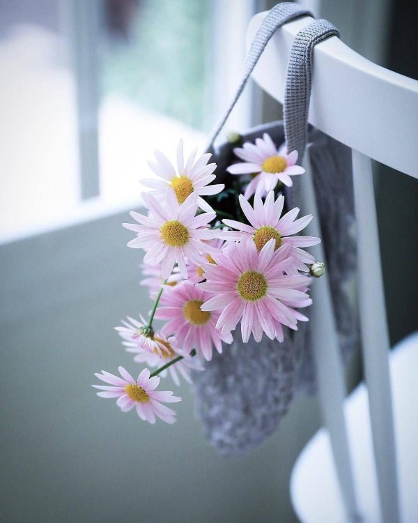 красивая цветок