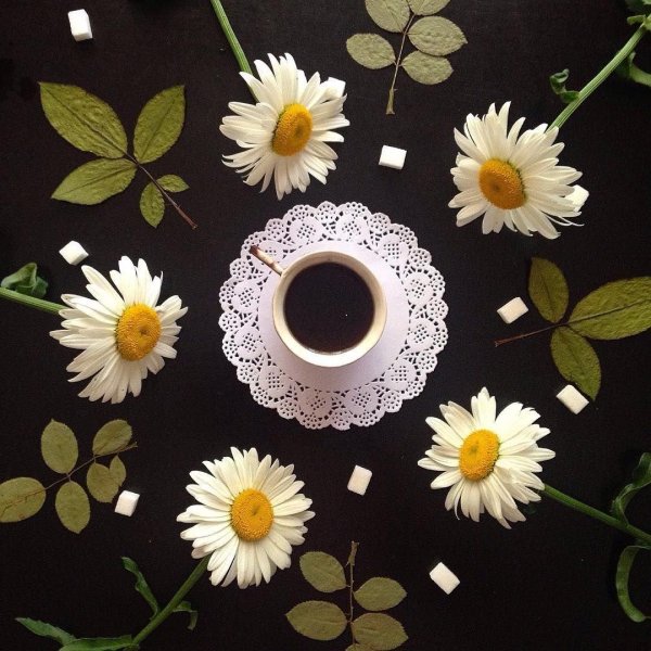 ромашки и кофе