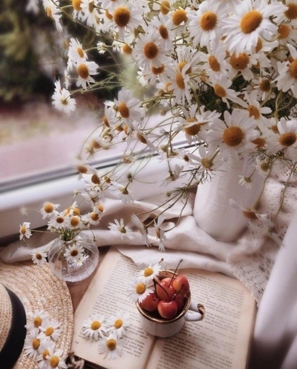 ромашка эстетика