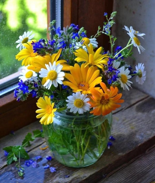 летний букет на окне