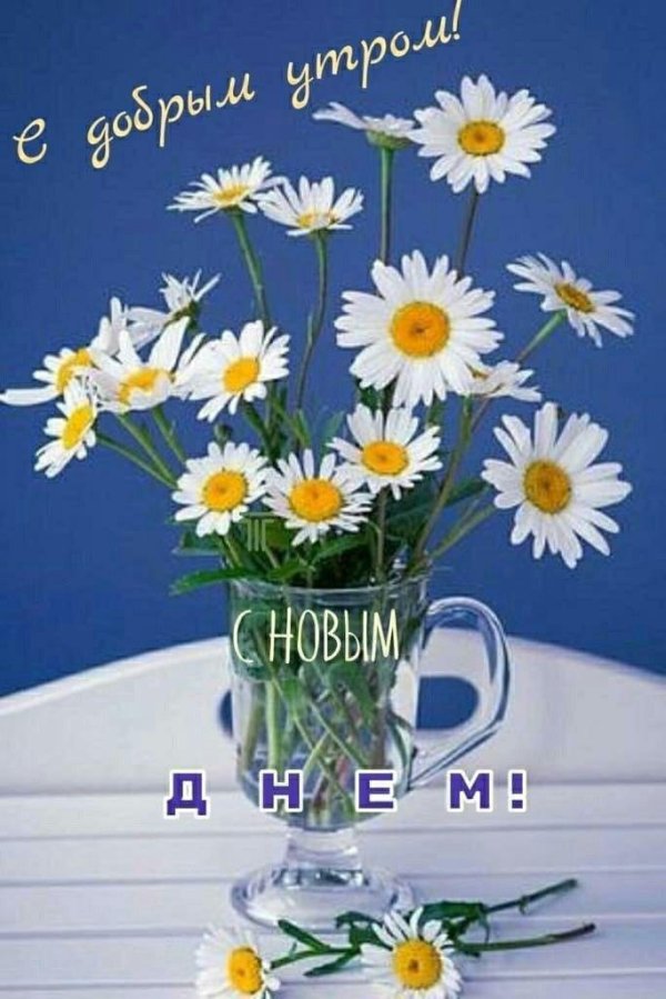 ромашка в вазе