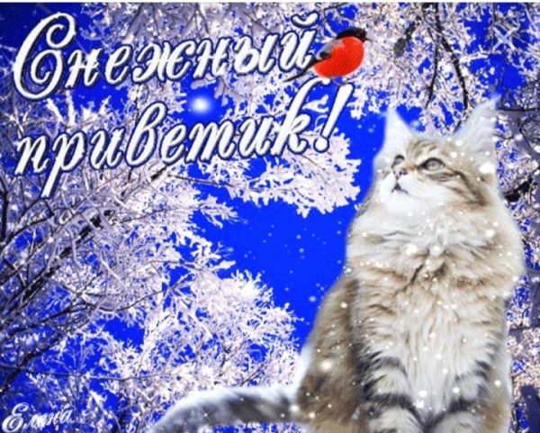 хорошего зимнего дня