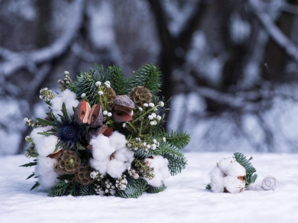 композиции из нобилиса новогодние