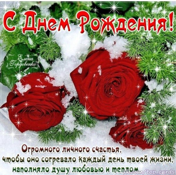 роза на снегу