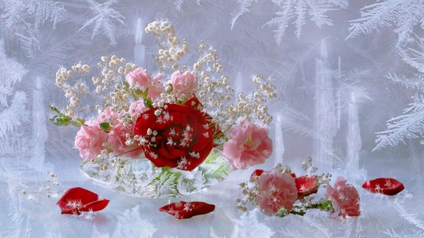 открытки к татьяниному дню