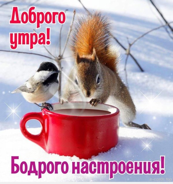 доброго утра зимнего