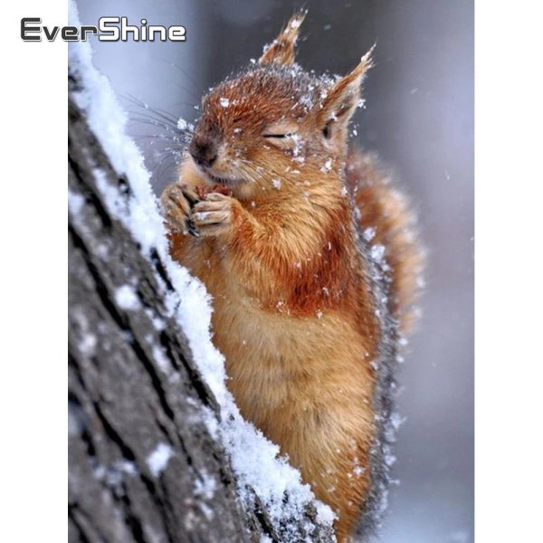 зимние белки