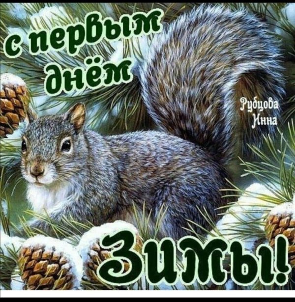 животные зимние