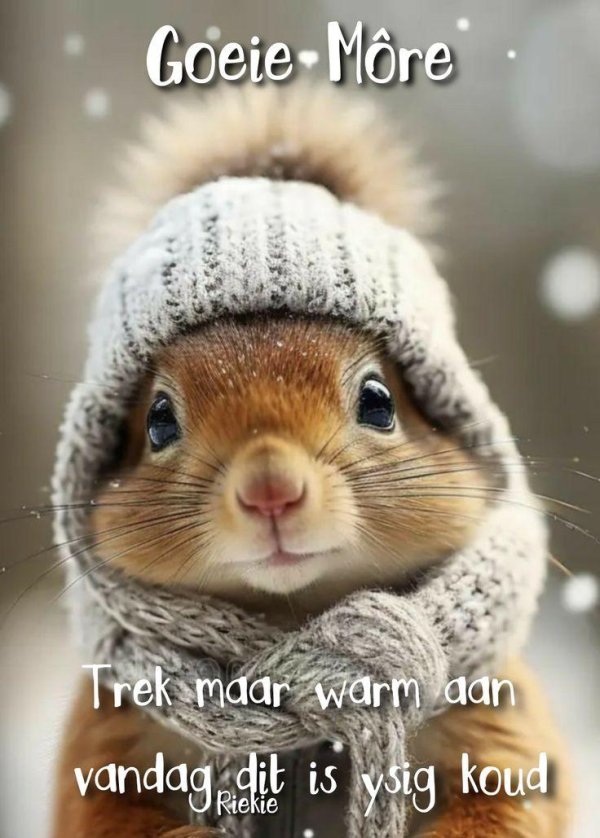 животное белка