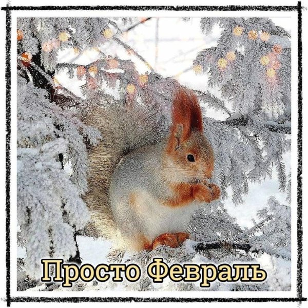 отличного зимнего денечка