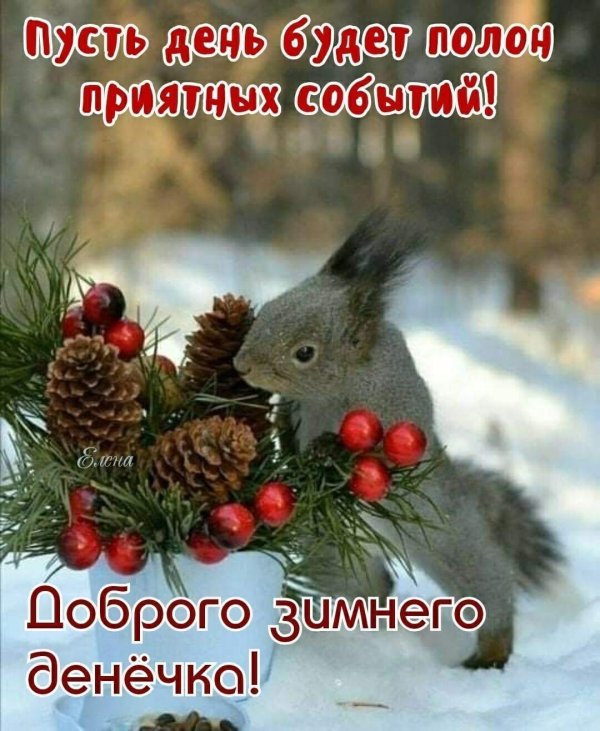 белочка новый год