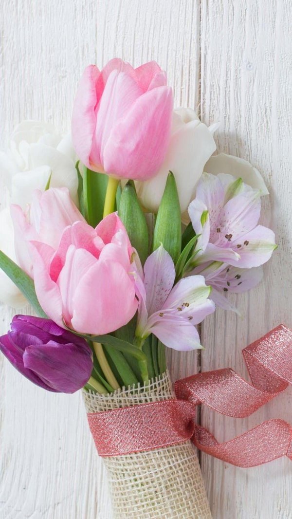 розовые тюльпаны