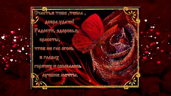пожелания красивые