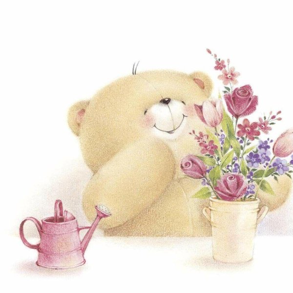 forever friends мишки