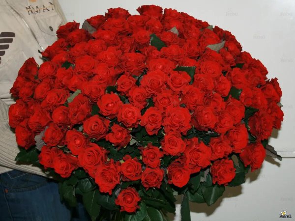 большие букеты роз