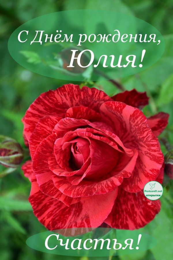 открытка для юлии