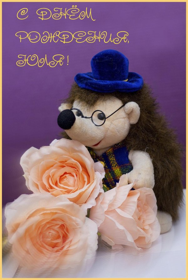 ежик мягкая игрушка