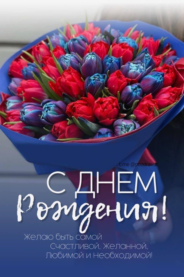 букет тюльпан