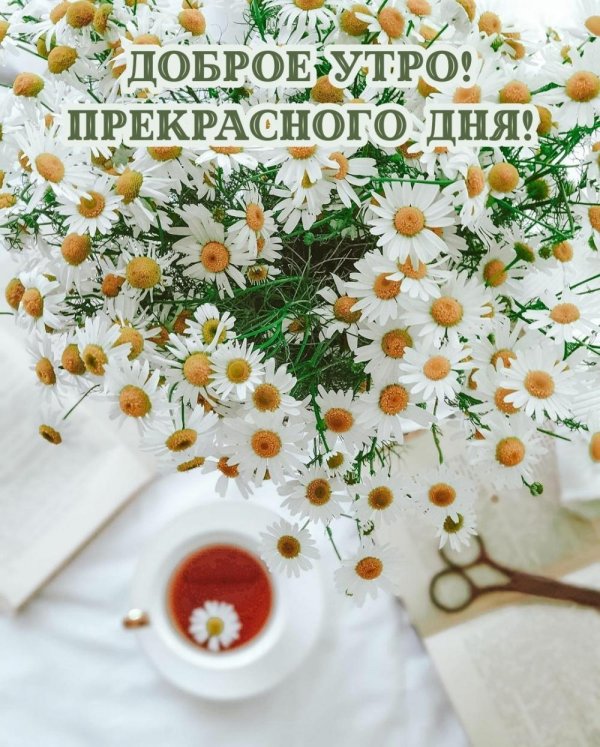 доброго утра летнего