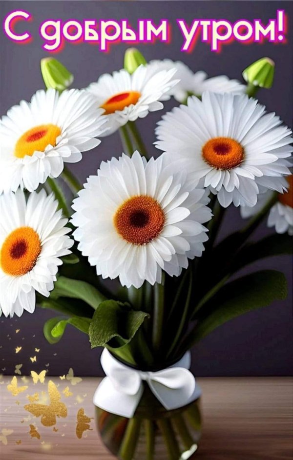 добра утра