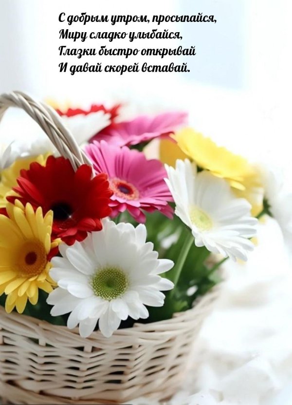 красивые букеты в корзинках