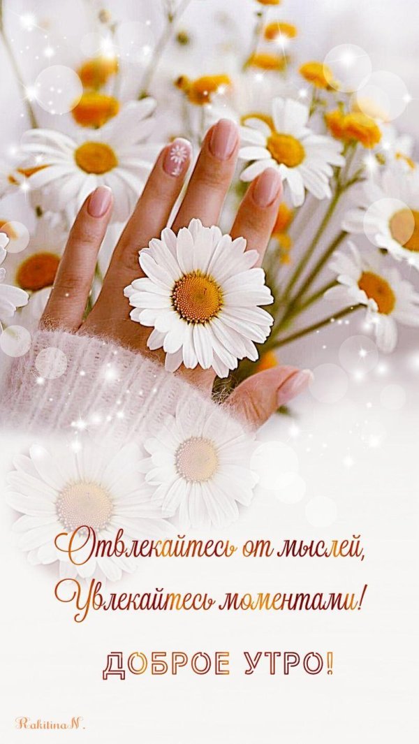 доброго утра с ромашками