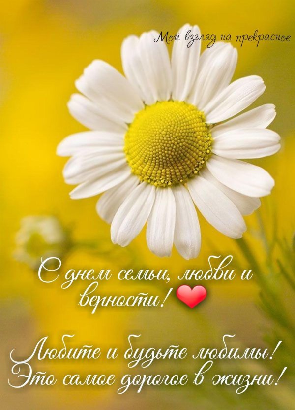 8 июля день семьи любви и верности