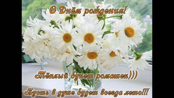 ромашка в вазе