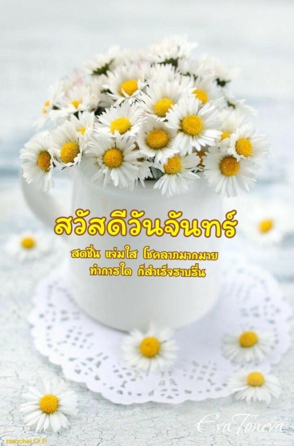 ромашковое утро