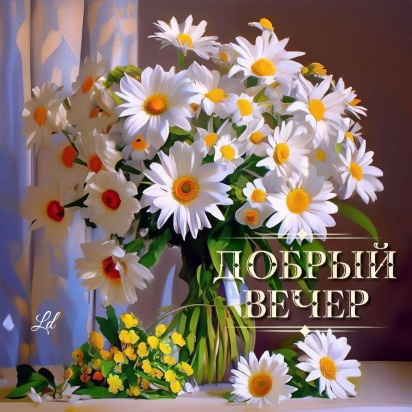 добрый вечер смромашками